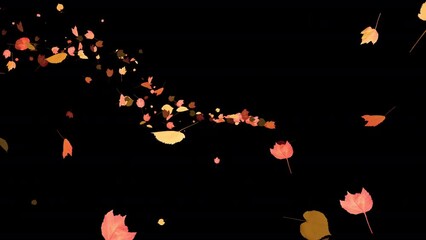 Wall Mural - Colorful Autumn Leaves - Windy Flying Spurt - 2 - Alpha Channel - Realistic 3D Transition animation with alpha channel on transparent background
