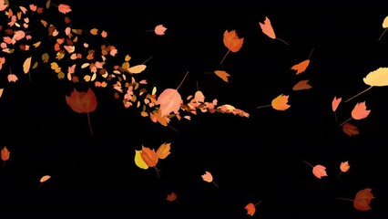 Wall Mural - Colorful Autumn Leaves - Windy Flying Spurt - 4 - Alpha Channel - Realistic 3D Transition animation with alpha channel on transparent background
