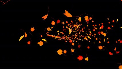 Wall Mural - Colorful Autumn Leaves - Windy Flying Spurt - 8 - Alpha Channel - Realistic 3D Transition animation with alpha channel on transparent background