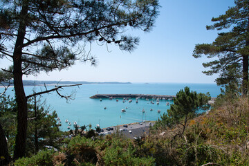 Canvas Print - Magnifique paysage sur le sentier côtier GR34 du cap d'Erquy en Bretagne - France