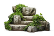 © Aro - Wild stone staircase with green plants