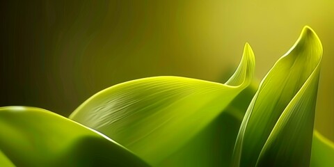 Wall Mural - Close-up of fresh green leaves with soft lighting