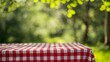 © Nicholas - A delightful image showcasing a red and white checkered blanket laid on a table in a bright sunny garden, ideal for a summer picnic and relaxation, evoking warm feelings.