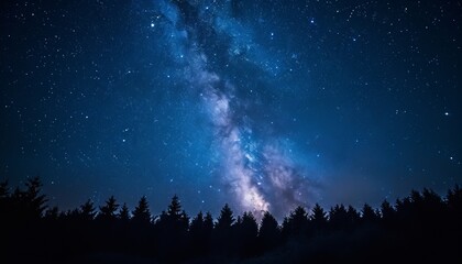Milky Way above summer forests at night, styled with dark sky-blue and black tones. Features focus stacking and cross-processing, capturing ethereal silhouettes in space. 🌌🌲