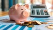 © Daylife - A piggy bank sits on a table next to a calculator and a pile of coins
