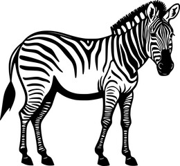 Wall Mural - zebra cartoon