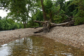 Canvas Print - Riverbank