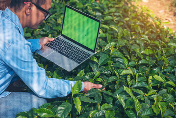 Wall Mural - Smart farmer using laptop in eco green farm sustainable quality control. Close up Hand typing laptop computer quality control plant tree. Farmer hands using technology in eco Farmland biotechnology