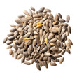© koku studio - Sunflower seeds  isolate on transparent png.