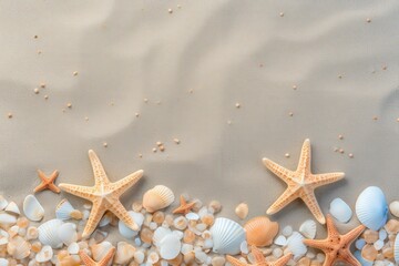 Wall Mural - Seashells and Starfish on Sandy Beach
