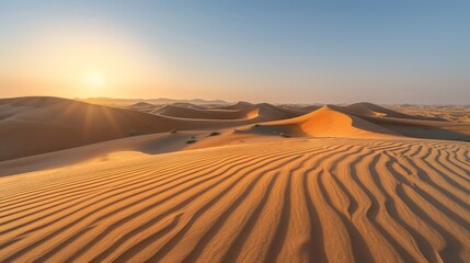 Wall Mural - The peaceful quiet of a sunrise in the desert, with the sun casting long shadows over the dunes, highlights nature's beauty.