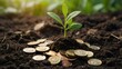© Pambudi - A seedling grows in a pile of coins lying on the ground. Green investment concept, Increasing money to invest. financial growth concept.