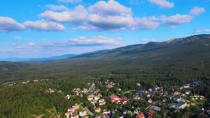 Wall Mural - Aerial view of a village in the mountains forest of Germany on a sunny day