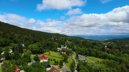 Wall Mural - Aerial view of a village in the mountains forest of Germany on a sunny day