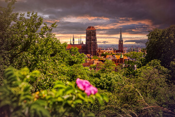 Wall Mural -  Scenic summer panorama in Gdansk