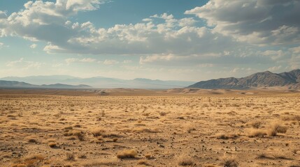 Poster - The vast emptiness of the desert inspires a sense of solitude and introspection, a place where one can truly disconnect.