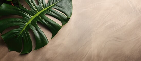 Aufkleber - Monstera leaf viewed from above on a brown matte marble surface, ideal as background or wallpaper with available copy space image.