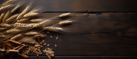 Fototapete - Create an autumn-themed flat lay featuring dried wheat ears on a dark wooden surface, leaving room for text in the image. with copy space image. Place for adding text or design