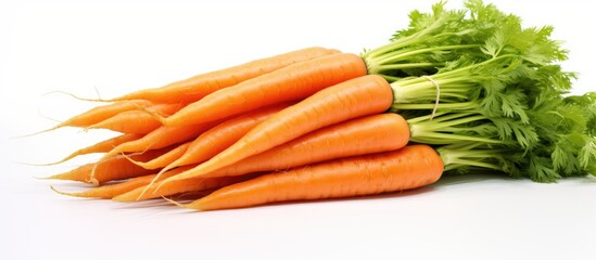 Leinwandbilder - A vibrant bunch of fresh, organic carrots against a white background with selective focus and a defocused effect around them, creating ample copy space image.