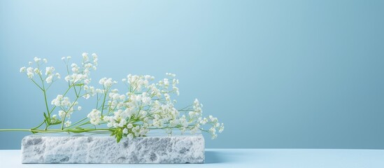 Poster - Flat granite pedestal and white flowers on blue background. Stone stand for natural design concept. Horizontal image, center composition, hard light, front view. Copy space image. Place for adding