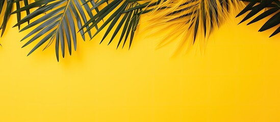 Leinwandbilder - Top view of tropical palm leaves on a vibrant yellow backdrop with ample copy space image, embodying a summer-themed flat lay concept.