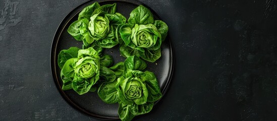 Aufkleber - Different types of lettuce slices displayed on a square plate against a black background with a spacious area for additional imagery.