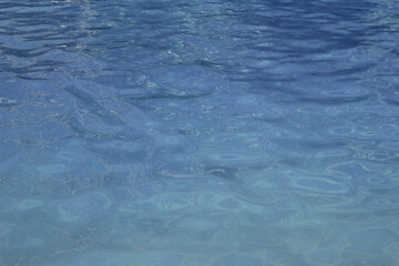 The background of the blue water surface reveals a mesmerizing interplay of light and movement