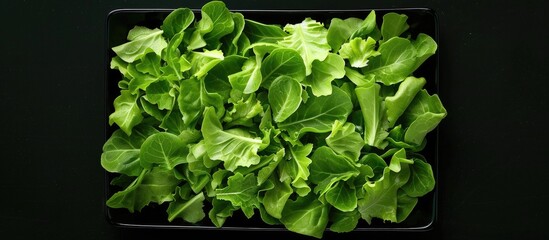 Aufkleber - Different types of lettuce slices displayed on a square plate against a black background with a spacious area for additional imagery.