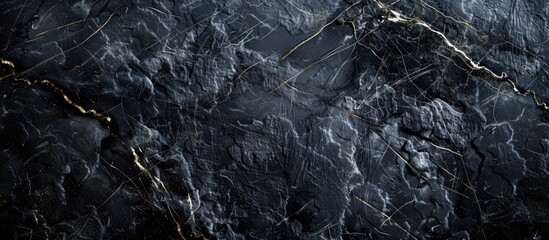 Fototapete - Abstract background with dark nature elements created on black marble with copy space image.