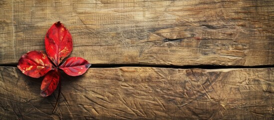 Poster - A leaf of a flower placed on a wooden table with a copy space image available.