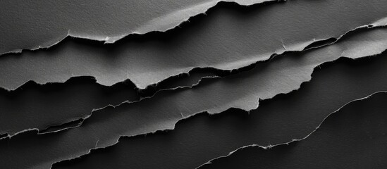 Poster - Textured torn black paper strips with copy space image.