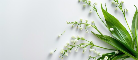 Sticker - Top view of isolated lilies of the valley on a white background with copy space image.