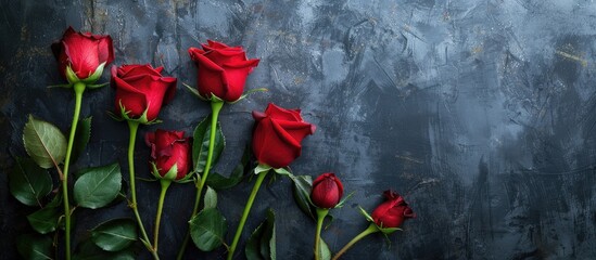 Poster - Valentine's Day card featuring red roses against a dark backdrop with copy space image.