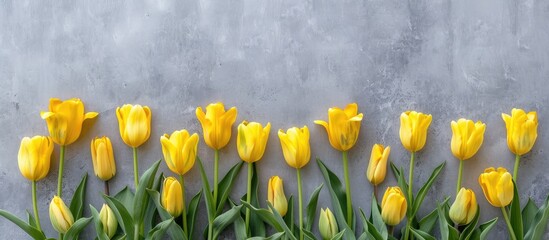 Canvas Print - Top view of vibrant yellow tulips against a gray concrete backdrop, with ample copy space image.