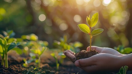 Wall Mural - Carbon offsetting programs help mitigate our environmental footprint, balancing emissions with sustainable actions.