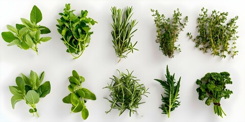 Wall Mural - Fresh Herb Selection from Above on a White Background. Concept Food Photography, Culinary Art, Fresh Ingredients, Kitchen Essentials, Creative Composition