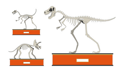 Wall Mural - fossil dinosaurs exhibition 2d linear cartoon objects set. dino bones skeletons isolated line vector