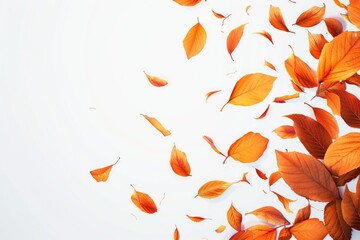 Poster - Flying Leaves