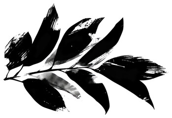 Poster - PNG Black and white vectors silhouette of leaf shape brush stroke border