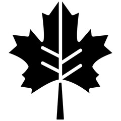 Poster - Maple Leaf vector icon. Can be used for Oktoberfest iconset.