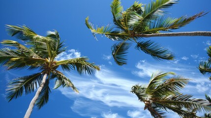 Sticker - Palm trees sway in the breeze, their fronds rustling like whispers in the wind.