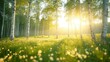 © Yotsaran - Sunlit birch forest with a vibrant carpet of wildflowers, Conservation, Nature preservation scene