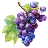 PNG Grapes grapes chandelier produce.