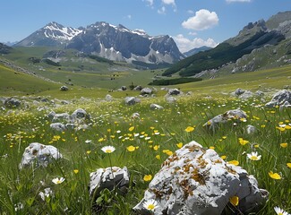 Canvas Print - rocks and flowers in the mountain valley