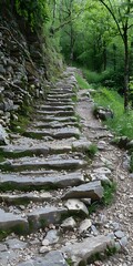 Wall Mural - Stone Steps Leading Up Through Lush Green Forest