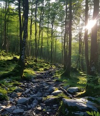 Wall Mural - The Glowing Path