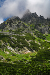 Wall Mural - Alpine summer landscape in Tatra Mountains, Slovakia, Europe