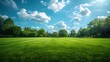 © horizon - A large grassy field with trees on the edges, a blue sky and white clouds in the background, a wide green space, a wide angle lens showing a green meadow, a park landscape.