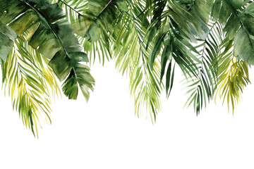 Wall Mural - PNG  Palm leaves nature outdoors plant.