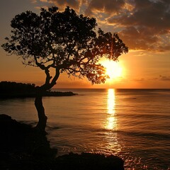 Wall Mural - sunset over the ocean with a tree in the foreground